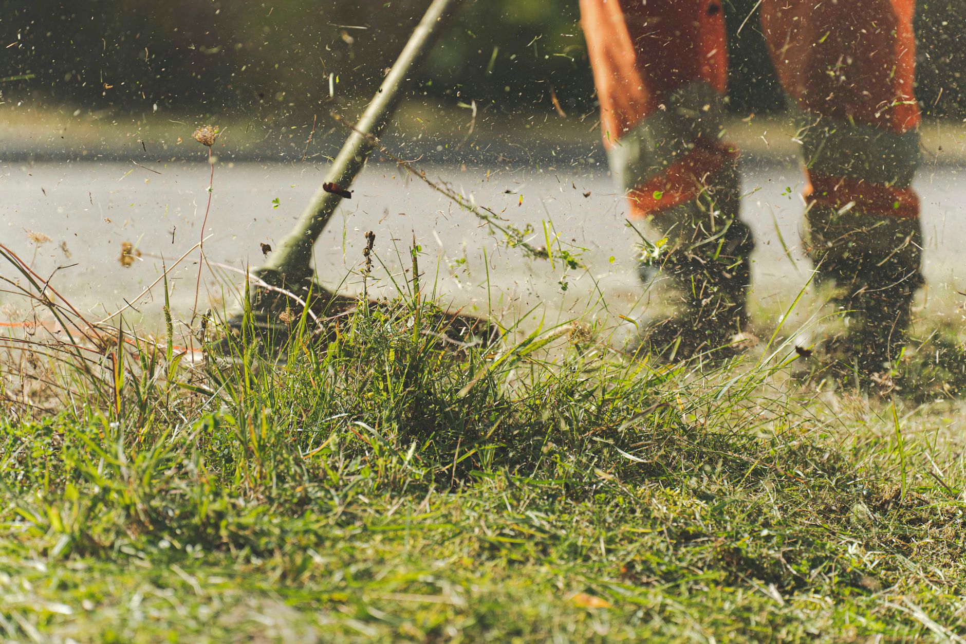Weed Control – Temple